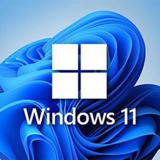 Windows 11’de çılgına çeviren hata