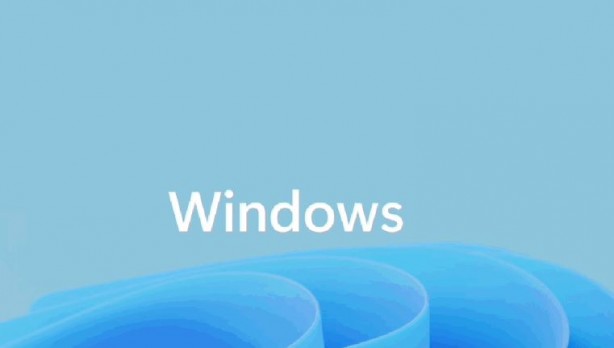 Foto - Windows arama motorlarının kökünü kazımaya hazırlanıyor