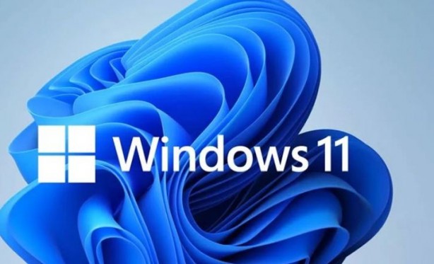 Foto - Windows güncellemesi saç baş yoldurtuyor!