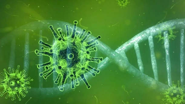 Foto - X Hastalığı: Vücudu en hızlı zehirleyen salgın tehdidi dengeleri altüst edecek! Dünya liderlerinin bile gündeminde