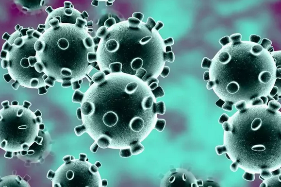 Foto - X virüsü nedir? Covid-19’dan 20 kat daha ölümcül: X hastalığı (X disease) nasıl belirtileri, tedavisi var mı?