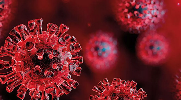 Foto - X virüsü nedir? Covid-19’dan 20 kat daha ölümcül: X hastalığı (X disease) nasıl belirtileri, tedavisi var mı?