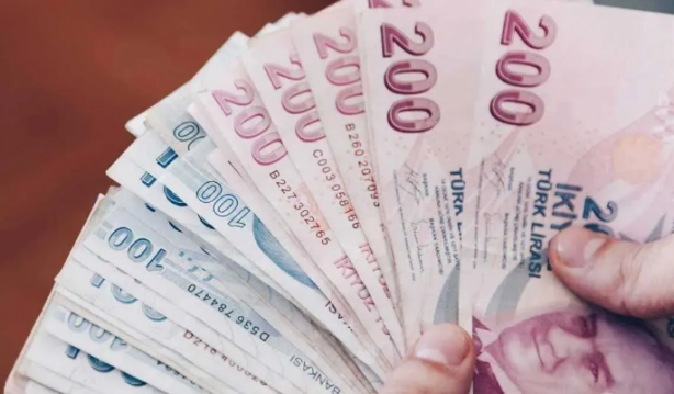Foto - Ya büyük Türkiye ya vesayet
