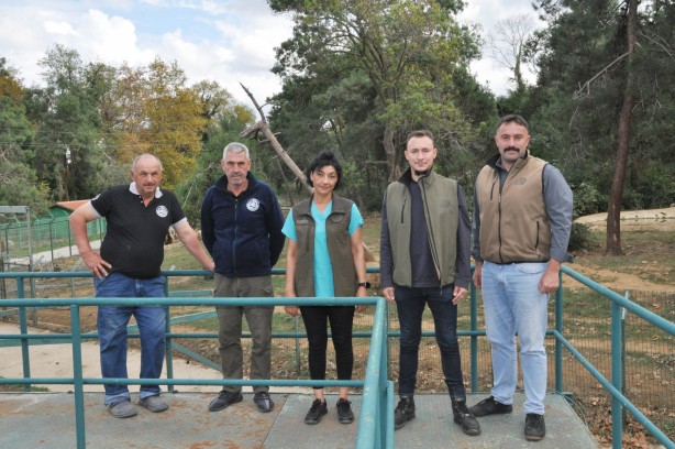 Foto - Yaban hayvanları Bursa'da güvende
