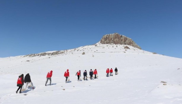 Foto - Yaban hayvanları için doğaya yem bırakıldı
