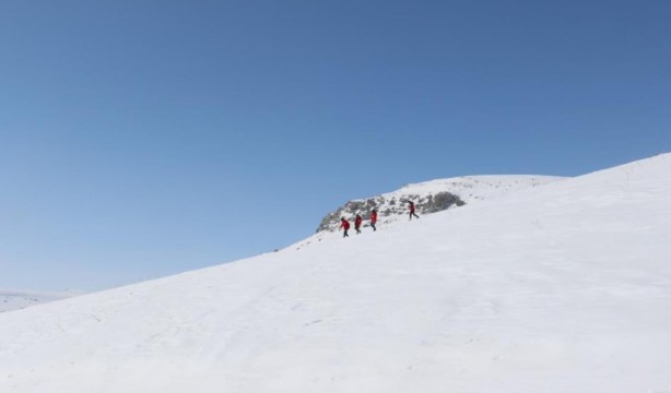 Foto - Yaban hayvanları için doğaya yem bırakıldı