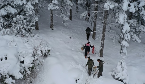 Foto - Yaban hayvanları için doğaya yem bırakıldı