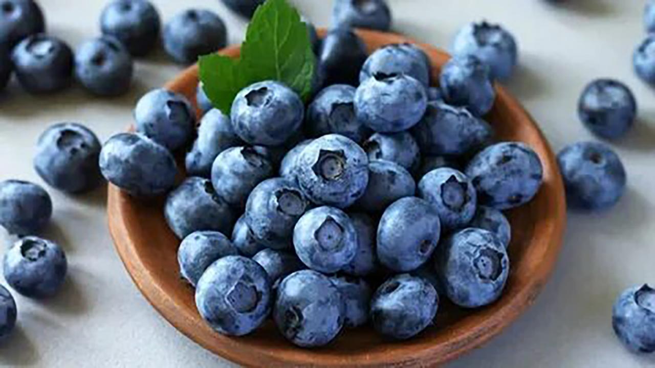 Foto - Yaban mersini her bünyeye uygun değil! Bu kişiler kesinlikle tüketmemeli