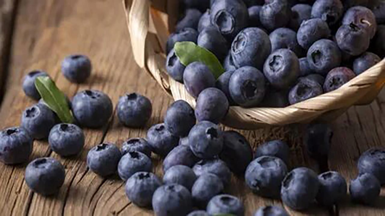 Foto - Yaban mersini her bünyeye uygun değil! Bu kişiler kesinlikle tüketmemeli
