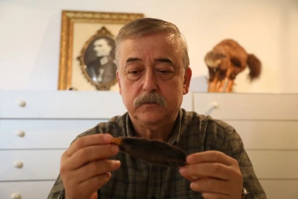 Foto - Yabancı bilim adamları keşfetti! Türkiye'nin o bölgesinde hızla yayılıyorlar