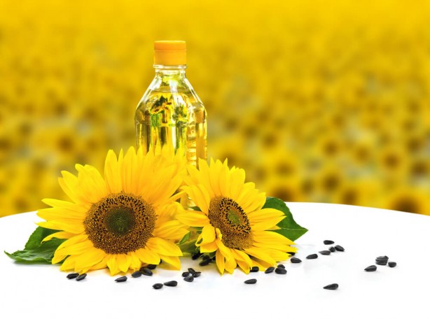 Foto - Yabancı firma bölgeye gelip tohumlar dağıtınca olanlar oldu! Ayçiçek yağı fiyatlarını sarsacak gelişme