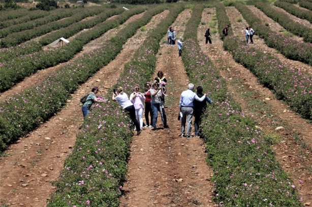 Foto - Yabancı turistlerin yeni gözdesi: Isparta gül bahçeleri
