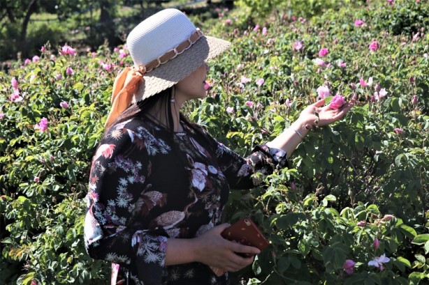 Foto - Yabancı turistlerin yeni gözdesi: Isparta gül bahçeleri