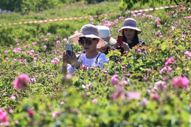 Yabancı turistlerin yeni gözdesi: Isparta gül bahçeleri