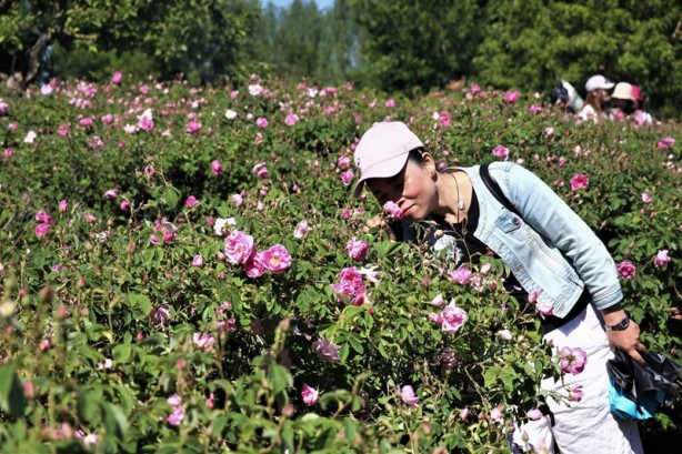 Foto - Yabancı turistlerin yeni gözdesi: Isparta gül bahçeleri