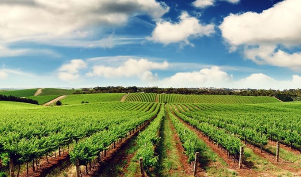Foto - Yabancılar bir ilimize göz dikti! Çılgınlar gibi arazi topluyorlar