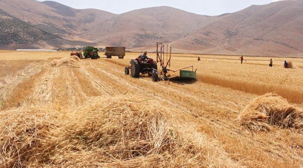 Foto - Yabancılar bir ilimize göz dikti! Çılgınlar gibi arazi topluyorlar