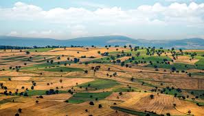 Foto - Yabancılar bir ilimize göz dikti! Çılgınlar gibi arazi topluyorlar