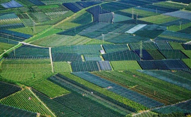 Yabancılar bir ilimize göz dikti! Çılgınlar gibi arazi topluyorlar