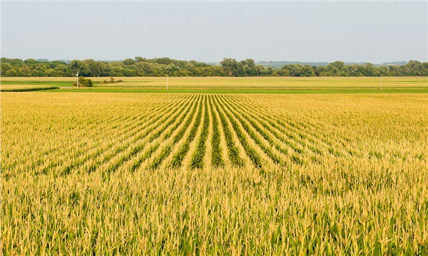 Foto - Yabancılar bir ilimize göz dikti! Çılgınlar gibi arazi topluyorlar
