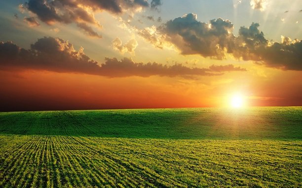 Foto - Yabancılar gözlerini bu ilimize dikti! Sessiz sedasız bin dönüm arazi satın aldılar, bölge sakinleri tedirgin
