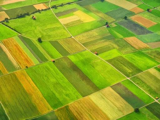 Foto - Yabancılar gözlerini bu ilimize dikti! Sessiz sedasız bin dönüm arazi satın aldılar, bölge sakinleri tedirgin
