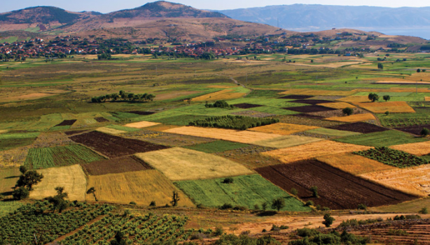 Foto - Yabancılar gözlerini bu ilimize dikti! Sessiz sedasız bin dönüm arazi satın aldılar, bölge sakinleri tedirgin
