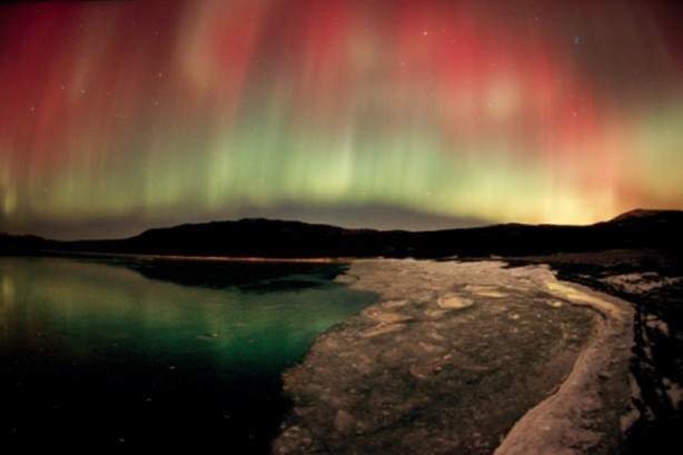 Foto - Yabani hayatın en iyileri!