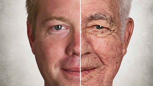 Foto - Yabani iğde depresyonu önlüyor