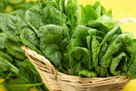 Foto - Yağ yakan ev yapımı 7 içecek tarifi: En hızlı, zahmetsiz bir şekilde mücadele! İçin, etkisini bir de böyle görün!