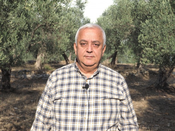 Foto - Yağan rahmet zeytin üreticisini sevindirdi