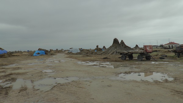 Foto - Yağış olmadı ortaya bu görüntü çıktı