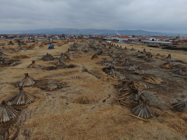 Foto - Yağış olmadı ortaya bu görüntü çıktı