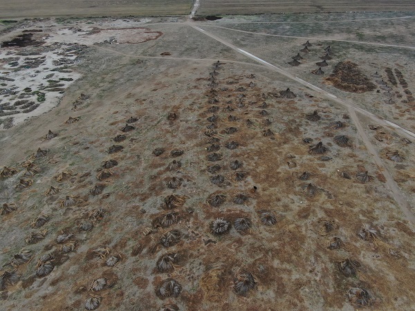 Foto - Yağış olmadı ortaya bu görüntü çıktı
