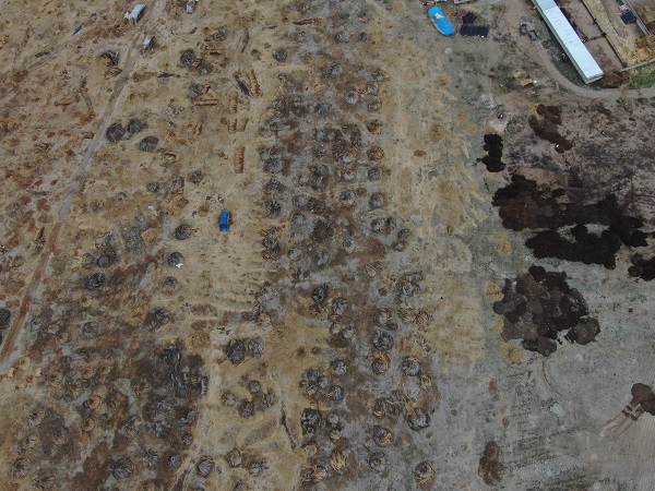 Foto - Yağış olmadı ortaya bu görüntü çıktı