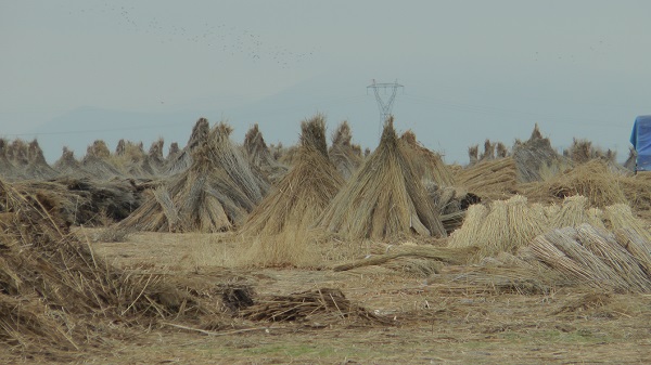 Foto - Yağış olmadı ortaya bu görüntü çıktı