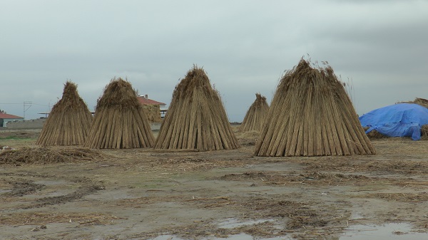 Foto - Yağış olmadı ortaya bu görüntü çıktı