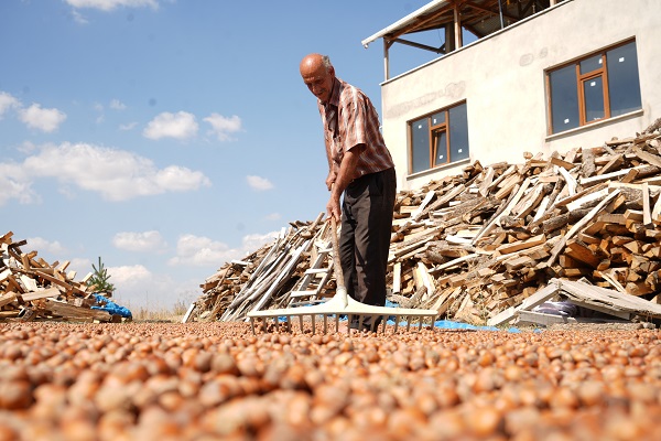 Yağışlar başladı böyle oldu! Trabzon'da toplanıyor Bayburt'ta kurutuluyor
