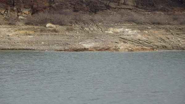 Foto - Yağışlar Çanakkale'de can suyu oldu