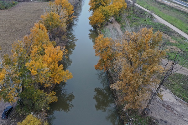 Foto - Yağışlar Trakya için can suyu oldu