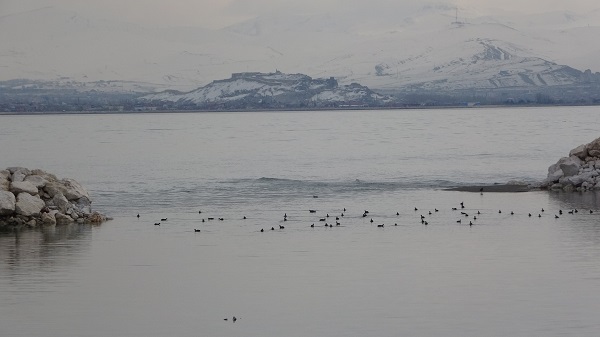 Foto - Yağışlar Van Gölü'ne ne zaman yansır?