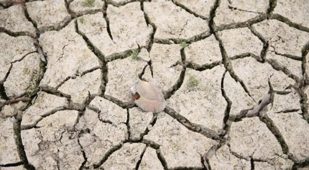 Foto - Yağışların ardından barajlardaki doluluk oranı açıklandı!