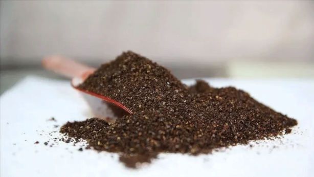 Foto - Yağları yok eden zayıflama yöntemi... Pul biberle tüketince mum gibi eritiyor!