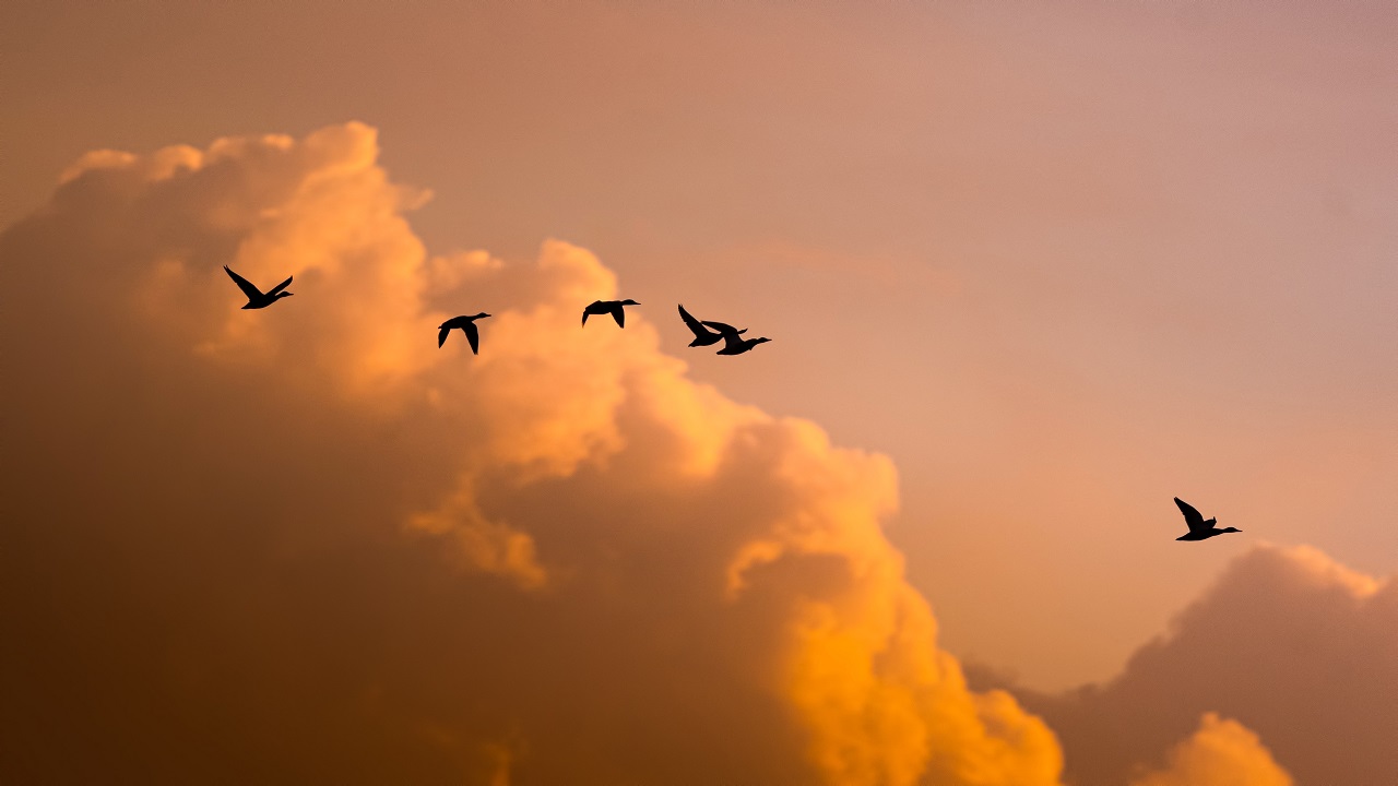 Foto - Yağmur bulutları görsel şölen oluşturdu