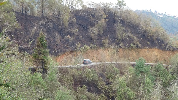 Foto - Yağmur faciayı böyle önledi! 