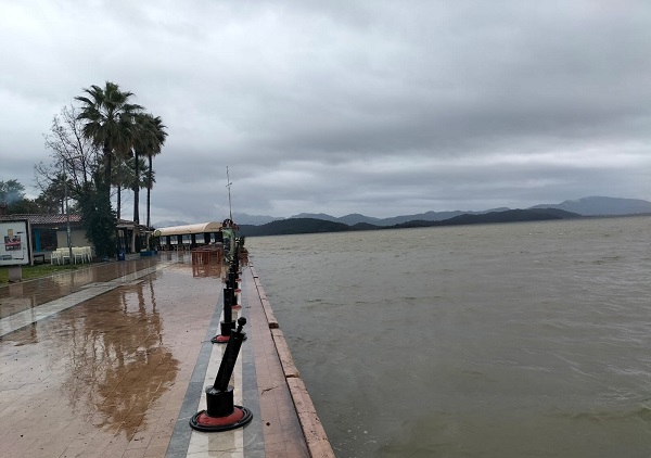 Foto - Yağmur yüzleri güldürdü! Köyceğizliler çok mutlu