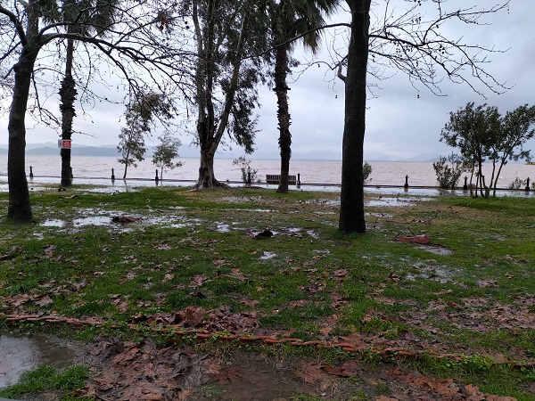 Foto - Yağmur yüzleri güldürdü! Köyceğizliler çok mutlu