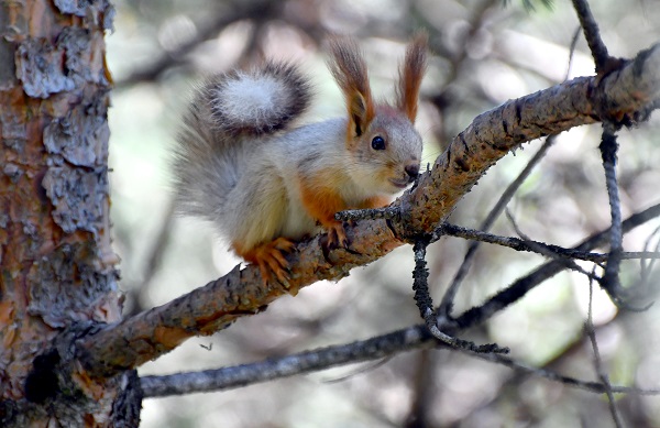 Foto - Yağmurlar dindi, doğa canlandı
