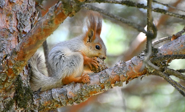 Yağmurlar dindi, doğa canlandı