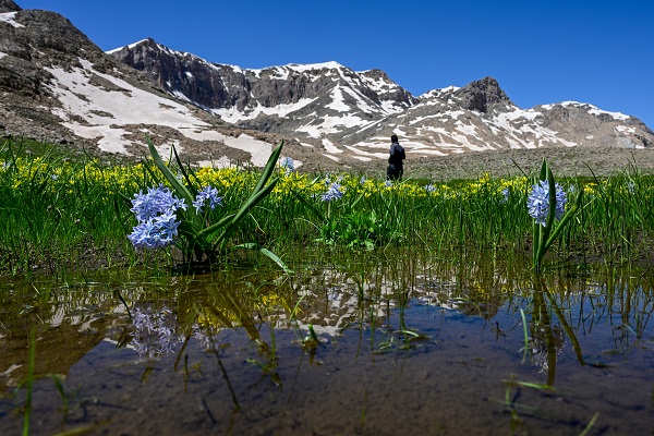 Foto - Yağmurlar doğayı renklendi